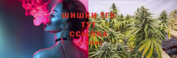 соль ск Верхний Тагил