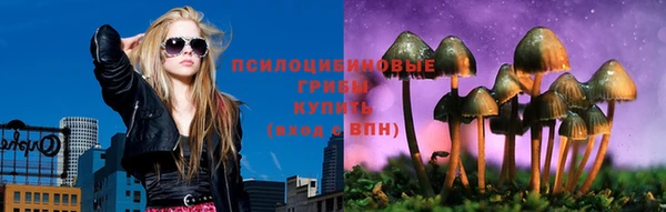 трава Верхнеуральск